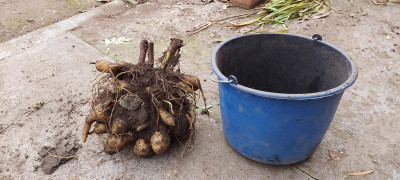 20211223_121139.jpg