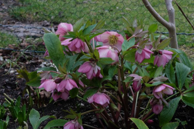 DSCF5978.JPG