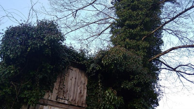 IMG_20220220_095800.jpg