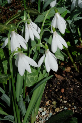 DSCF5988.JPG