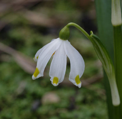 DSC_4417_DxO.jpg