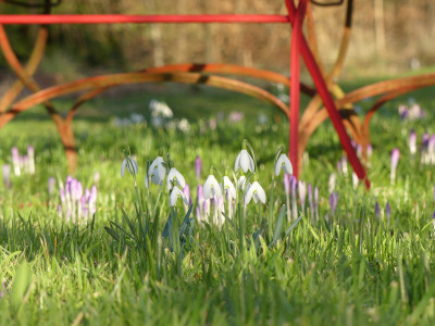 2022-02-23 Gartenimpressionen 1.jpg