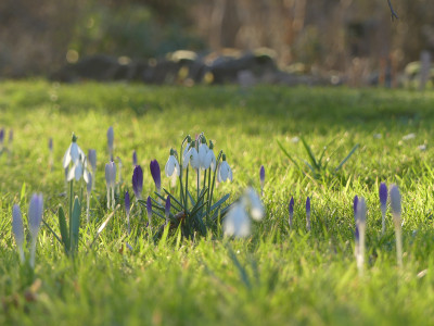 2022-02-23 Gartenimpressionen 9.jpg