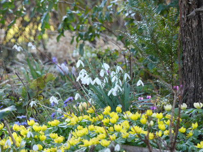 2022-02-23 Gartenimpressionen 16.jpg