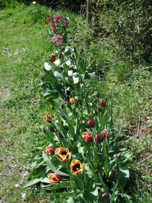 Groenanderung_Drehen_von_P4151425.JPG