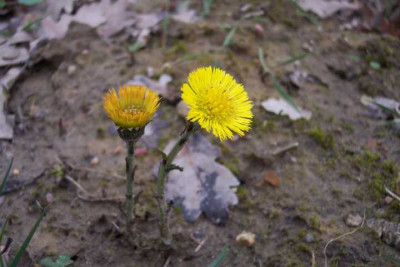 K640_100_4903.JPG