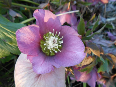 DSCN3609.JPG