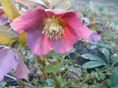 DSCN3611.JPG