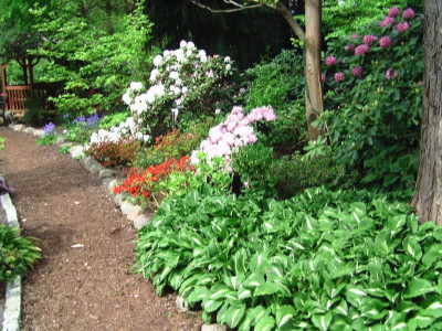 Bot_garten Christiansberg 076.jpg