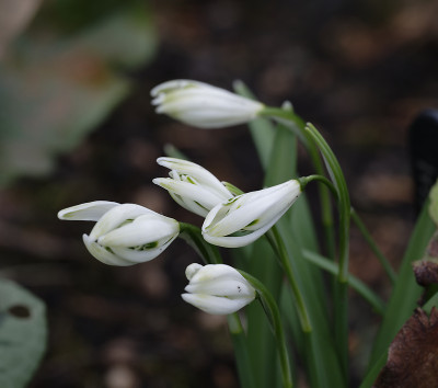 DSC_4421_DxO.jpg