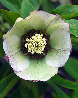 149-9511.jpg
