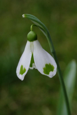 DSCF6059.JPG