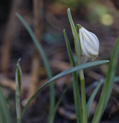 DSC_4462_DxO.jpg