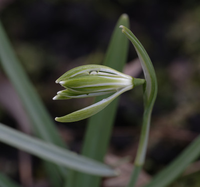 DSC_4444_DxO.jpg