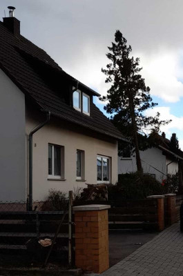 gartenkoniferegesichert.jpg