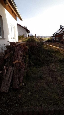gartenvornevoll.jpg