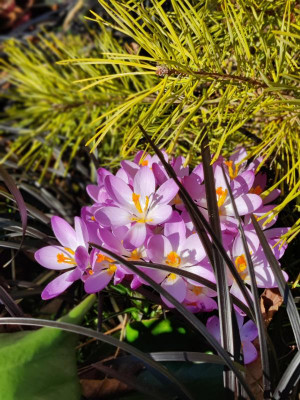IMG_20220227_133307_Bokeh.jpg