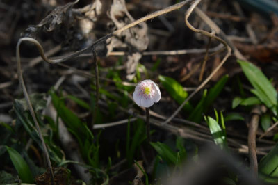 DSC_0399.JPG