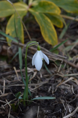 DSC_0368.JPG