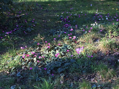 2022-03-01 Licht und Schatten.jpg