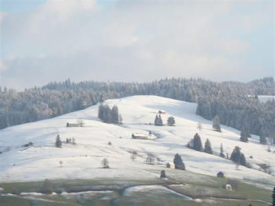 18.03.2008.20.JPG