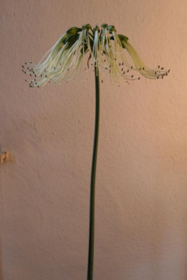 P1000540.JPG