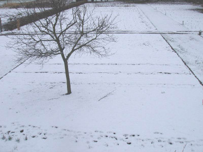 Gemusegarten_ue.jpg