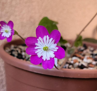 20220302_144531.jpg