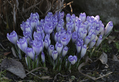 DSC_4478_DxO_DxO.jpg
