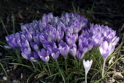 DSC_4484_DxO_DxO.jpg