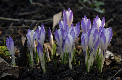 DSC_4488_DxO_DxO.jpg