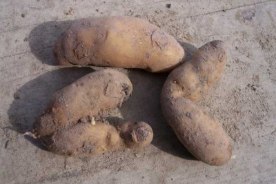 K640_100_4913.JPG