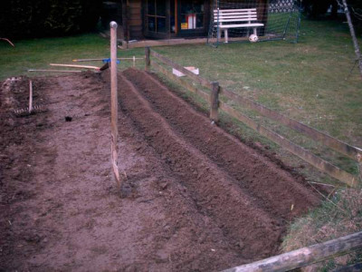 IMAG0044.jpg