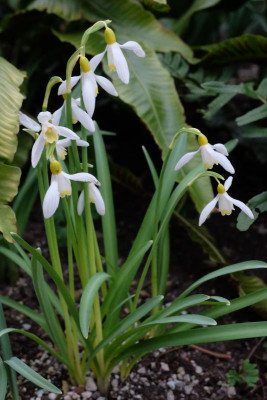 DSCF6088.JPG