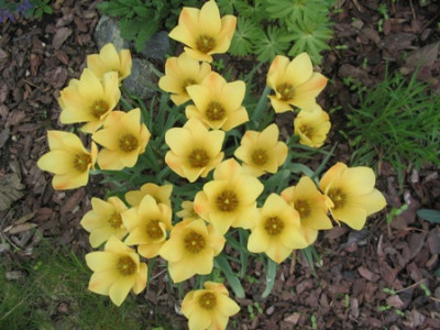 16.5.2004.JPG
