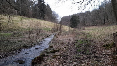 stillerriepenbachteil.jpg