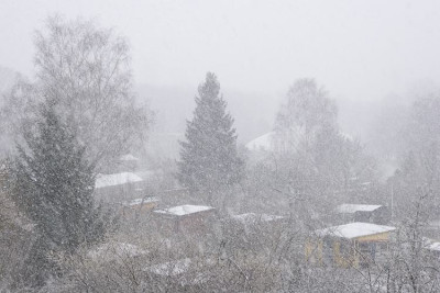 Fruehlingsanfang2008.jpg