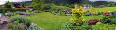 IMG-20210603-WA0006.jpg
