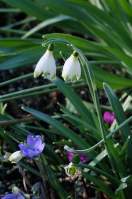 DSCF6119.JPG