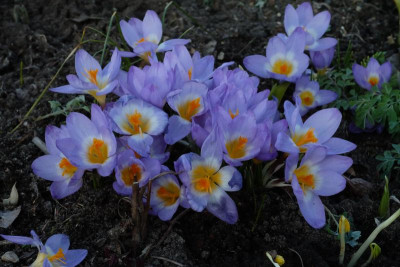 DSCF6124.JPG