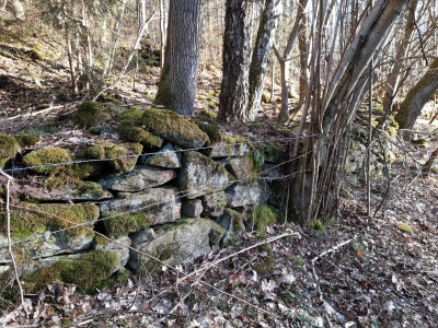 riepentrockenmauer.jpg