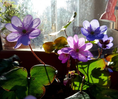 20220308_201057.jpg