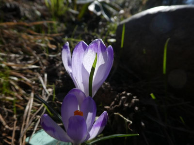 P1140229.JPG