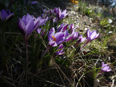 P1140228.JPG