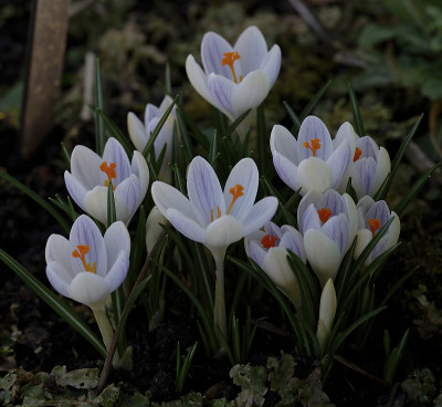DSC_4518_DxO_DxO.jpg