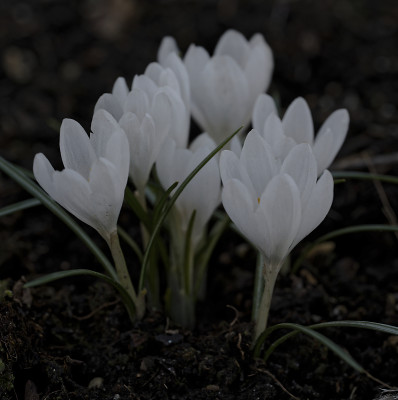 DSC_4522_DxO_DxO.jpg
