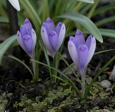 DSC_4524_DxO_DxO.jpg