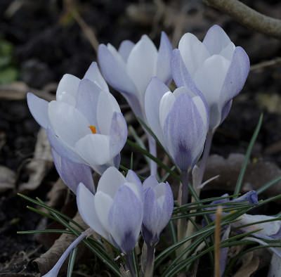 DSC_4508_DxO_DxO.jpg