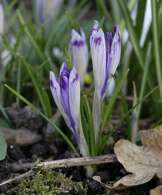 DSC_4507_DxO_DxO.jpg