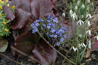 DSC_4436_DxO.jpg
